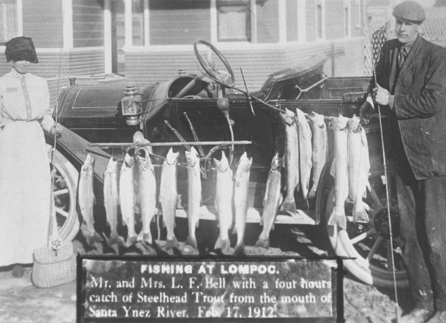 A catch of fish from the Santa Ynez River in 1912